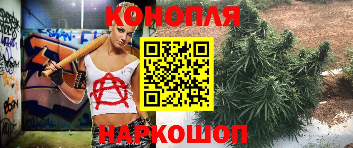 Бугуруслан  Шишки марихуана сатива  Марихуана AK-47  Вход с VPN  Бошки Шишки индика  Шишки марихуана Ganja 